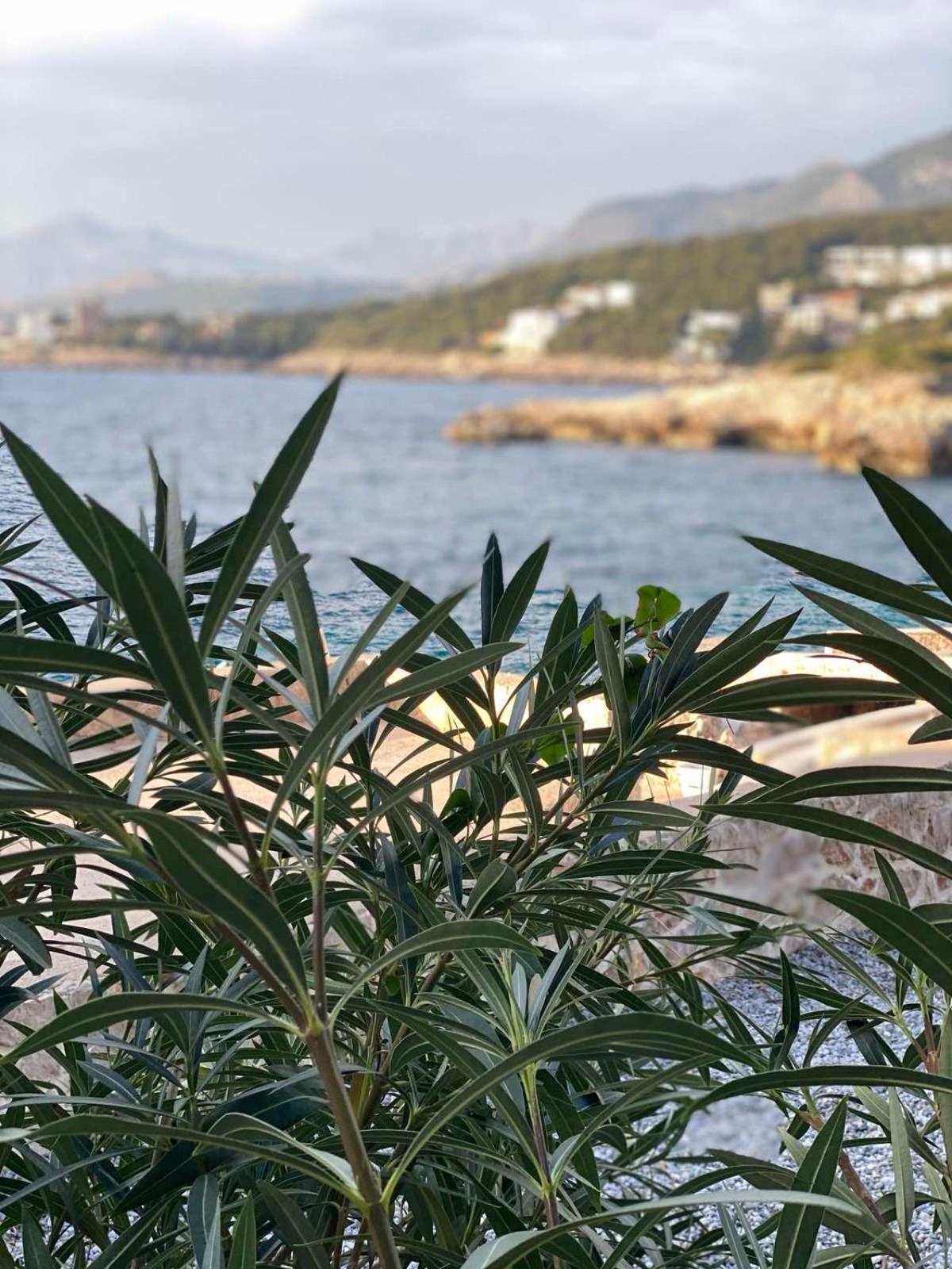 Seastar Eco Villa Utjeha Dış mekan fotoğraf